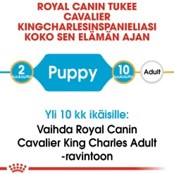 Cavalier Puppy 1,5 kg>Royal Canin Clearance