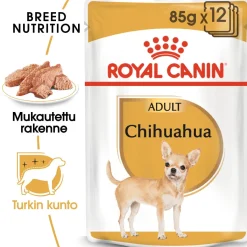 Chihuahua Wet 12x85g>Royal Canin Online