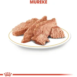 Chihuahua Wet 12x85g>Royal Canin Online