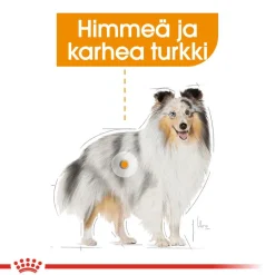 Coat Care Mini>Royal Canin Best
