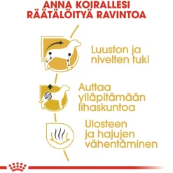 Dachshund Adult>Royal Canin New