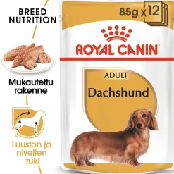 Dachshund Wet 12 x 85 g>Royal Canin New