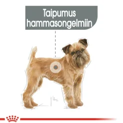 Dental Care Mini>Royal Canin Hot