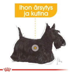 Dermacomfort wet 12 x 85 g>Royal Canin