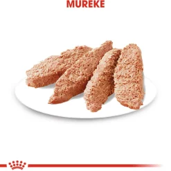 Dermacomfort wet 12 x 85 g>Royal Canin