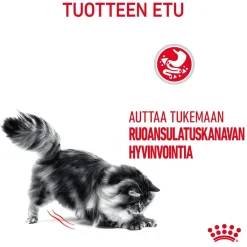 Digestive Care>Royal Canin Outlet