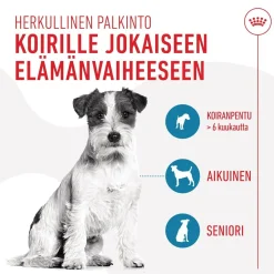 Dog Training Treats 110g>Royal Canin Outlet