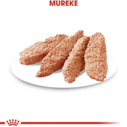 Exigent wet 12 x 85 g>Royal Canin Online