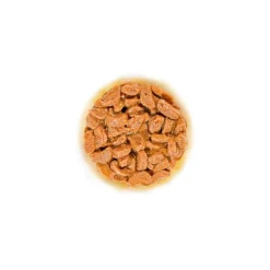 FHN Ageing 11+ kastikeessa 12 x 85 g>Royal Canin Sale