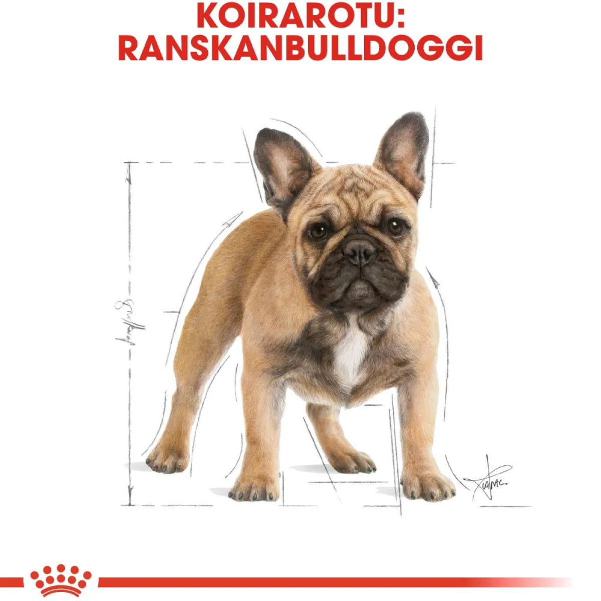 French Bulldog Adult>Royal Canin Sale