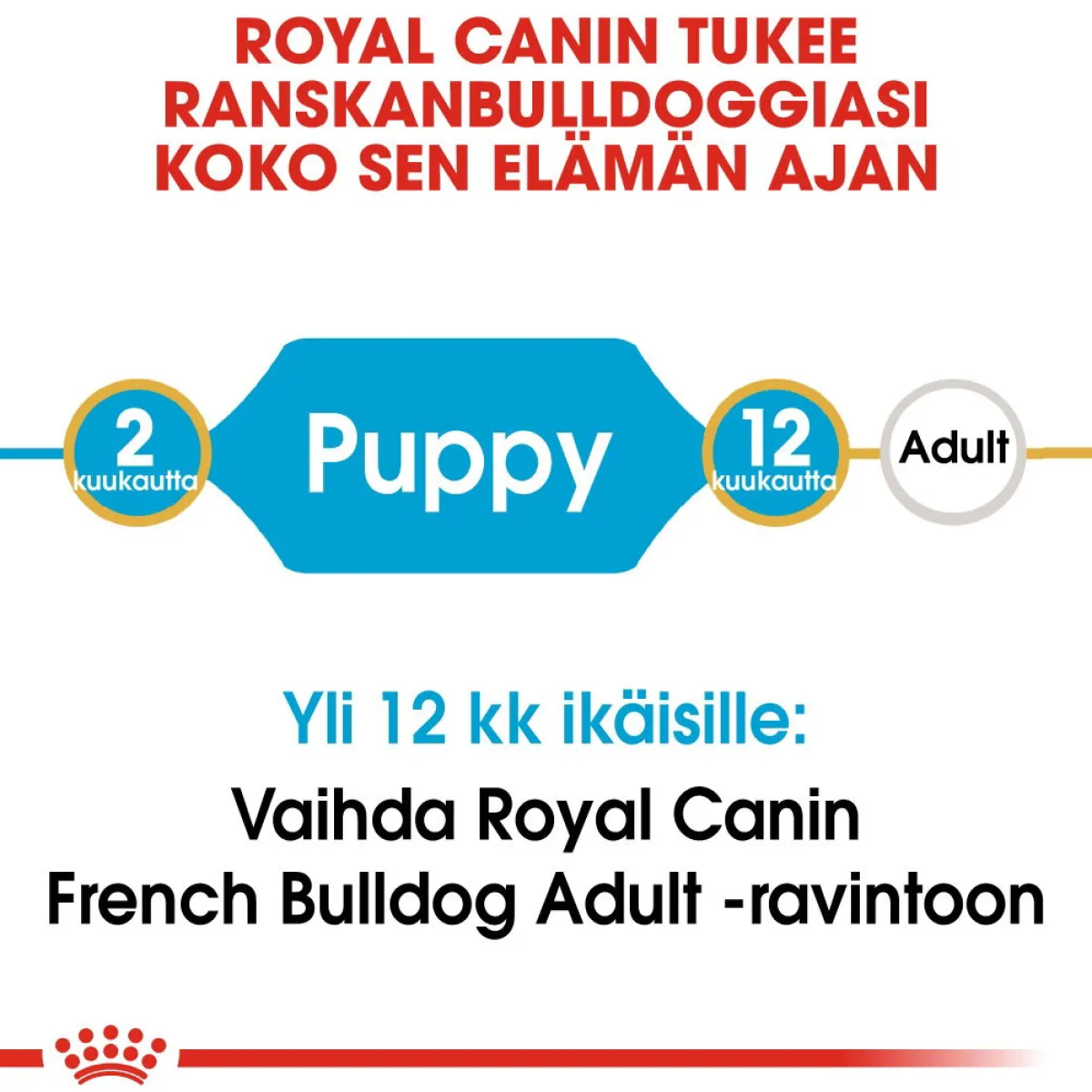 French Bulldog Puppy>Royal Canin