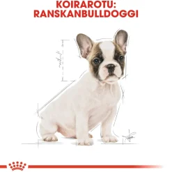 French Bulldog Puppy>Royal Canin