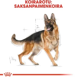 German Shepherd Adult 11 kg>Royal Canin Discount