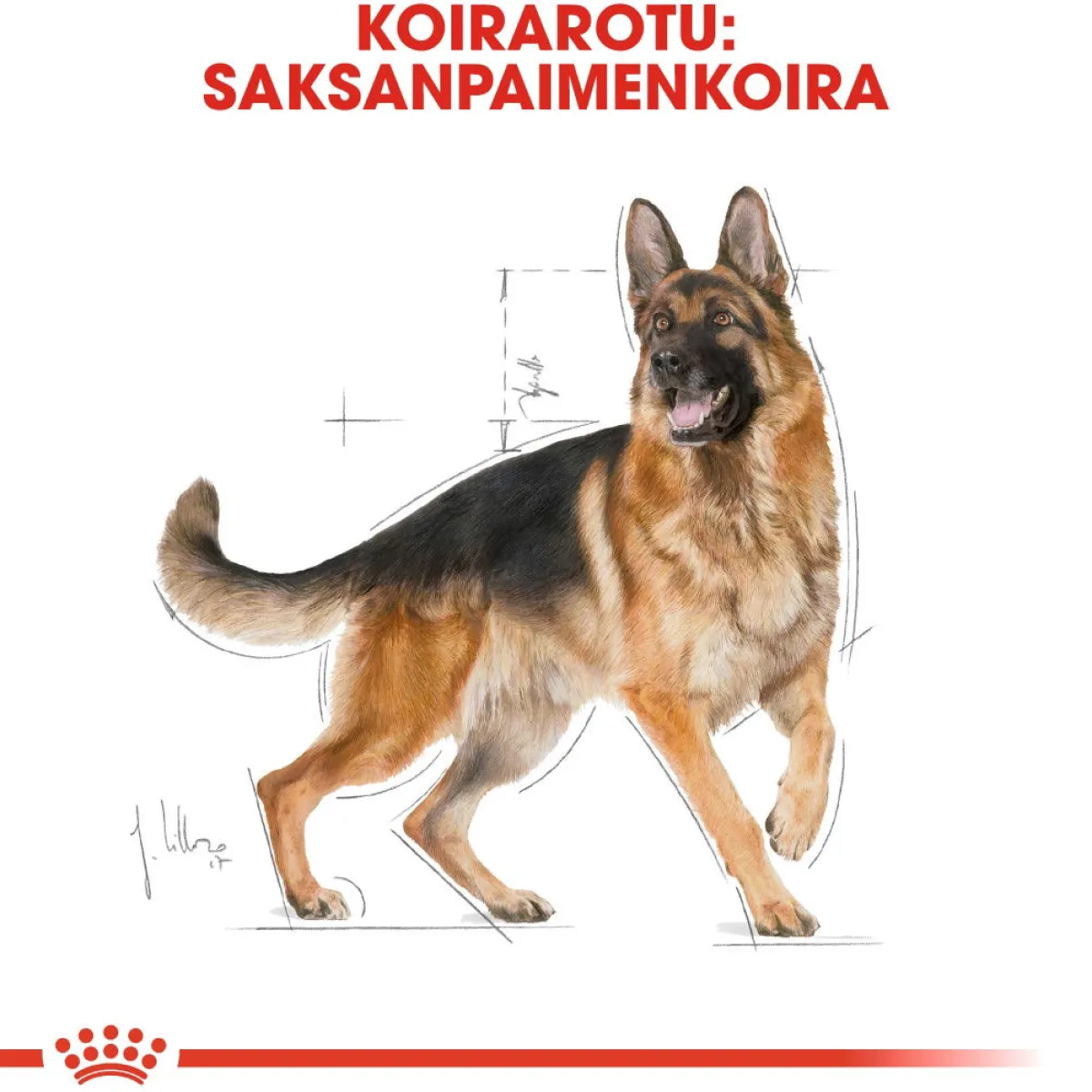German Shepherd Adult 11 kg>Royal Canin Discount
