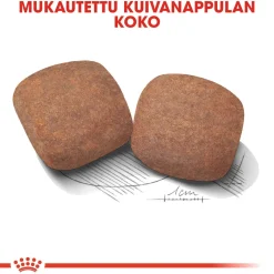Giant Adult 2 x 15kg>Royal Canin Online