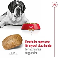 Giant Adult 2 x 15kg>Royal Canin Online