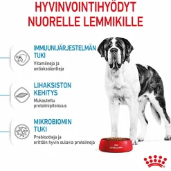 Giant Junior 15 kg>Royal Canin Online