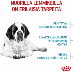 Giant Junior 15 kg>Royal Canin Online