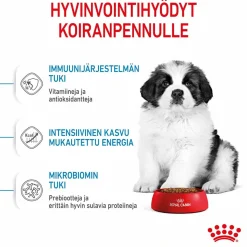 Giant Puppy>Royal Canin Best