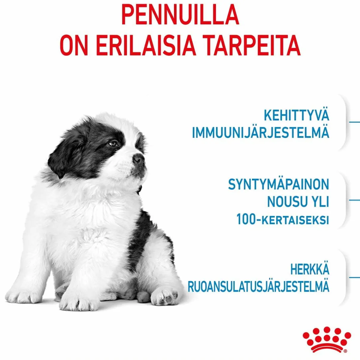 Giant Puppy>Royal Canin Best