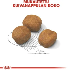 Giant Puppy 2 x 15kg>Royal Canin Outlet