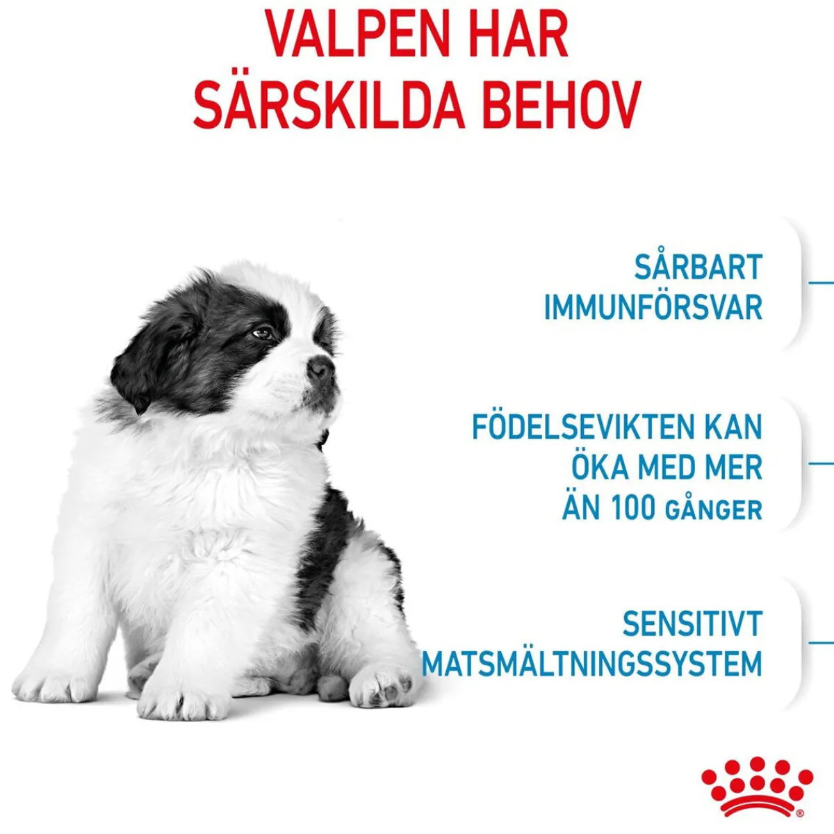 Giant Puppy 2 x 15kg>Royal Canin Outlet