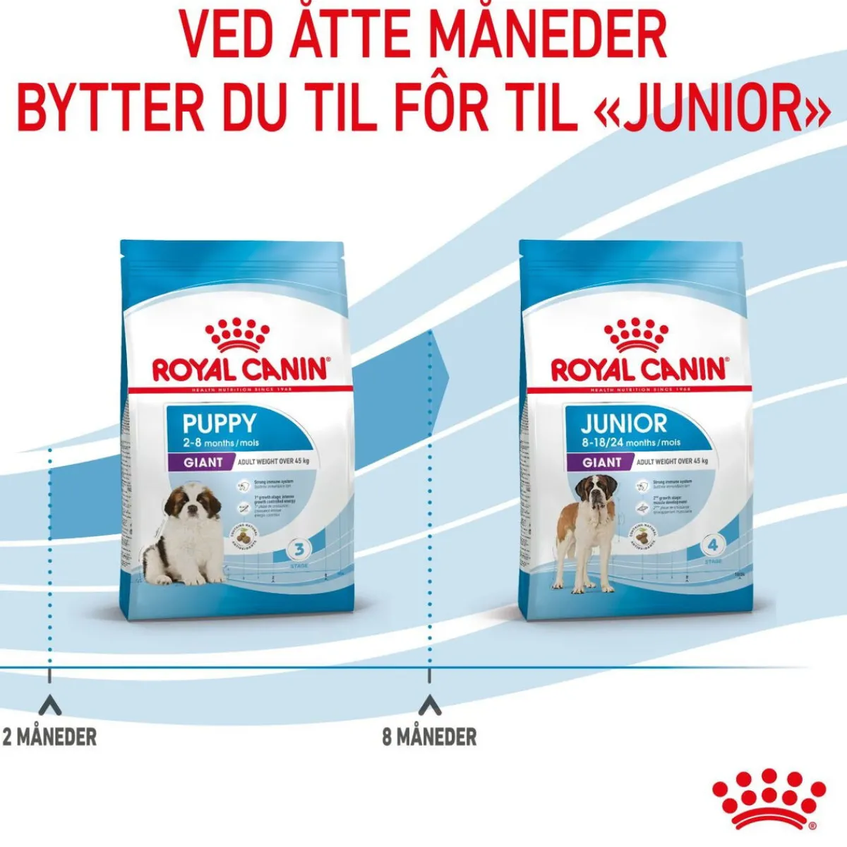 Giant Puppy 2 x 15kg>Royal Canin Outlet