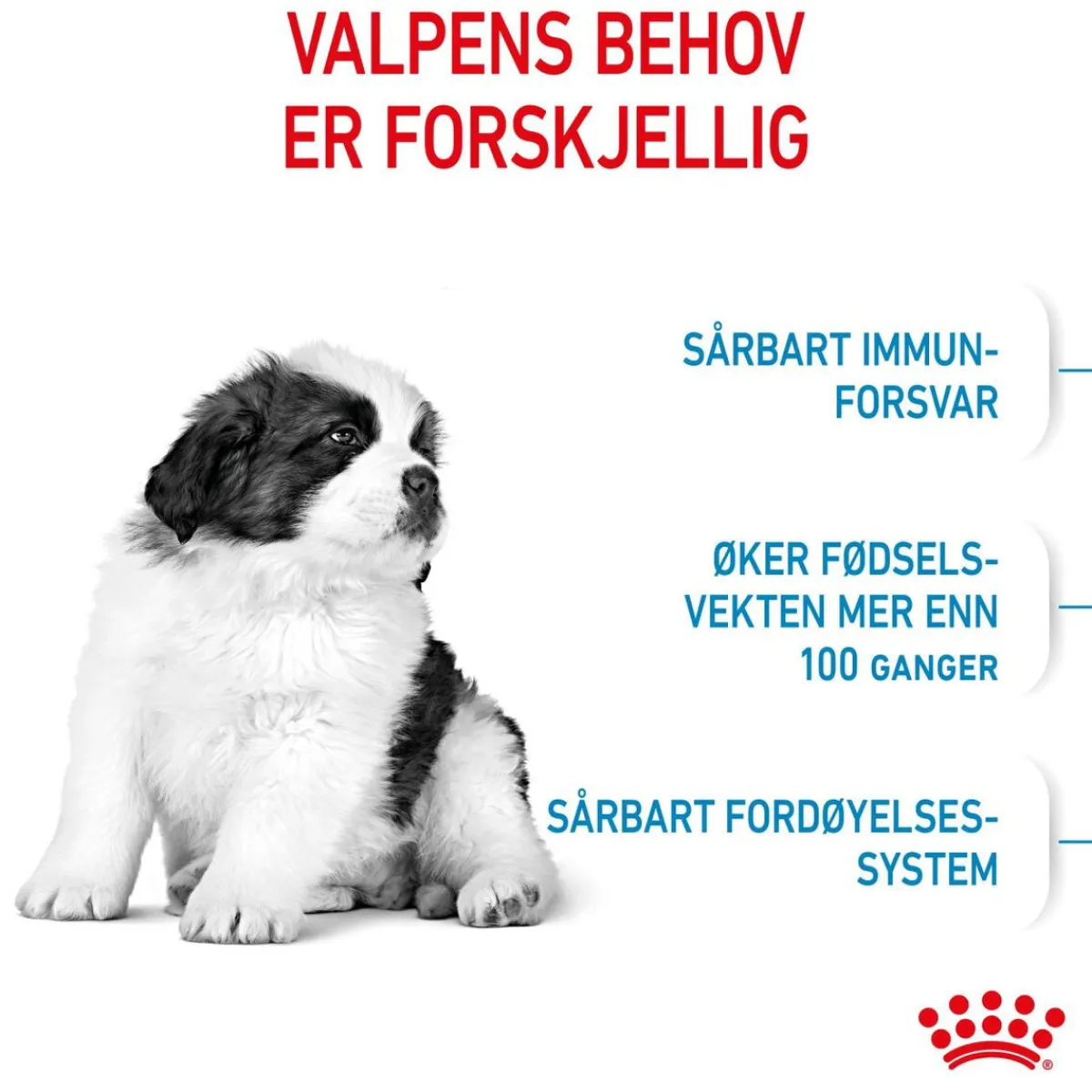 Giant Puppy 2 x 15kg>Royal Canin Outlet