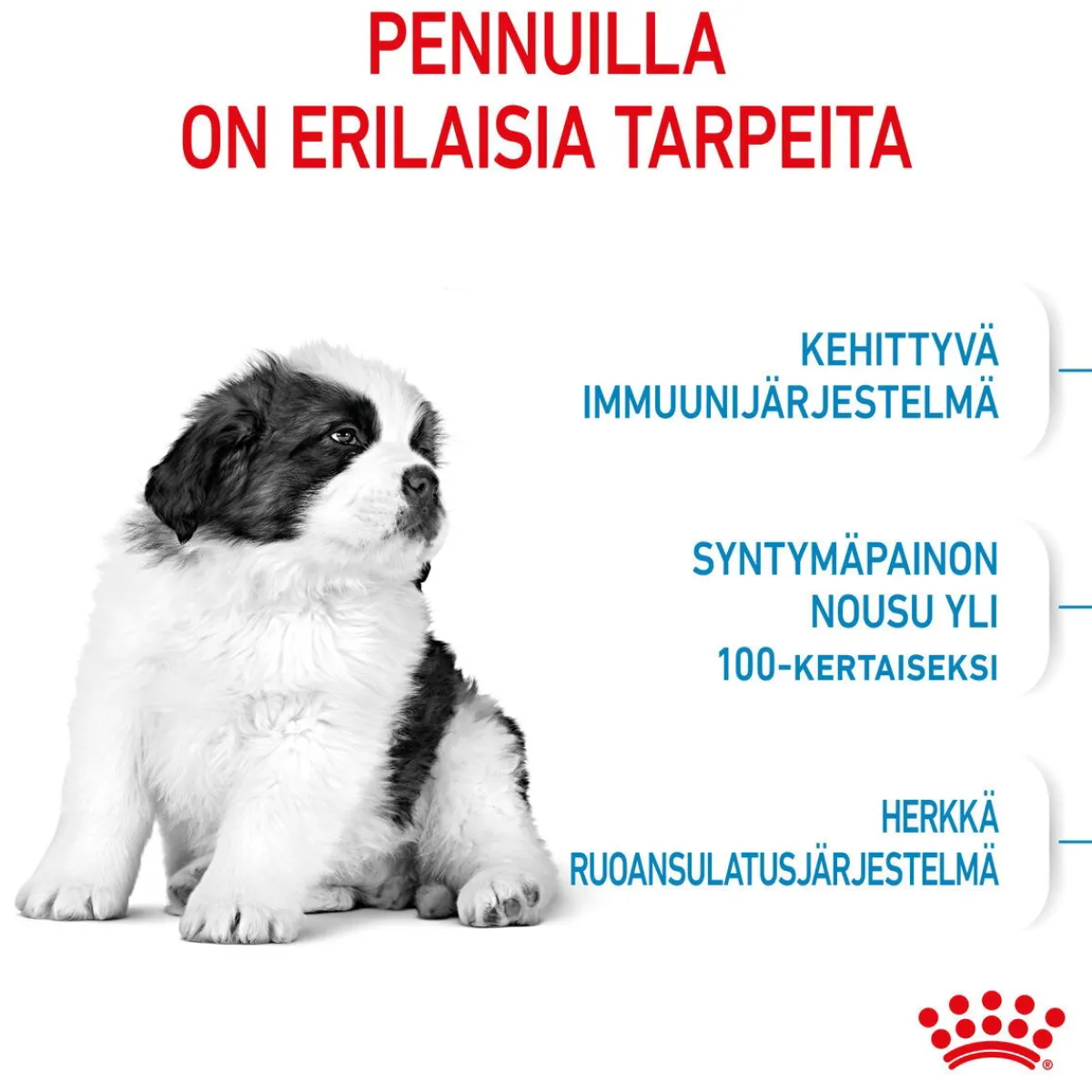 Giant Puppy 2 x 15kg>Royal Canin Outlet