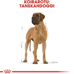 Great Dane Adult 12 kg>Royal Canin Online