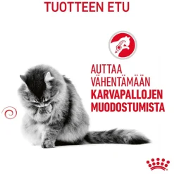 Hairball Care>Royal Canin New
