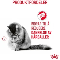 Hairball Care Gravy 85g, 48-pack>Royal Canin Online