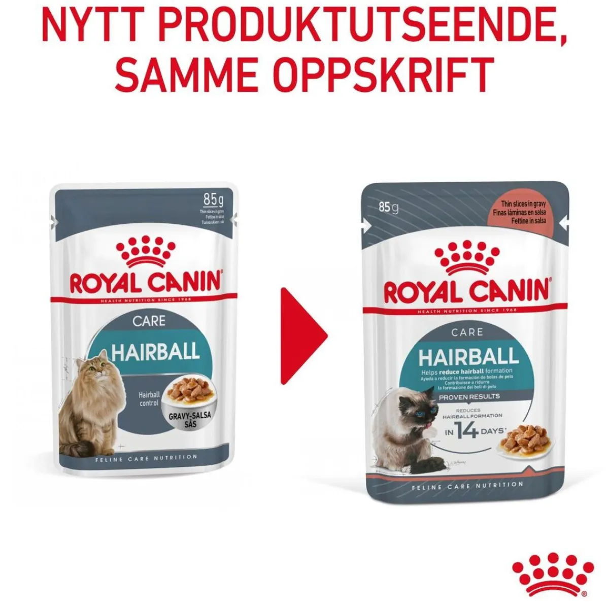 Hairball Care Gravy 85g, 48-pack>Royal Canin Online