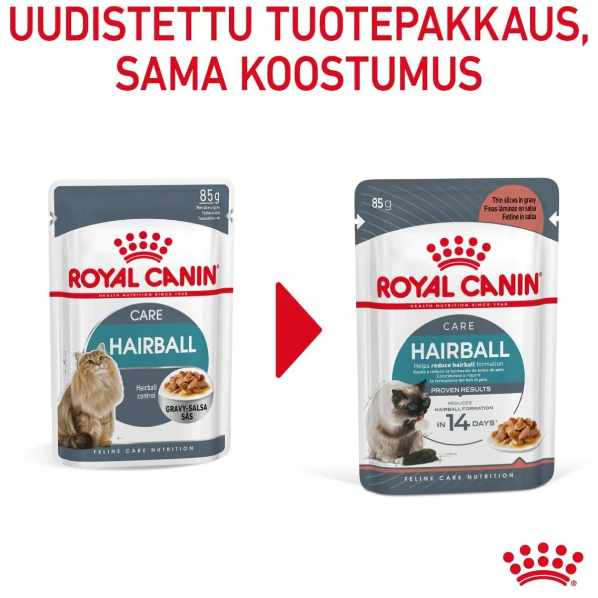 Hairball Care, 12x85g>Royal Canin Clearance