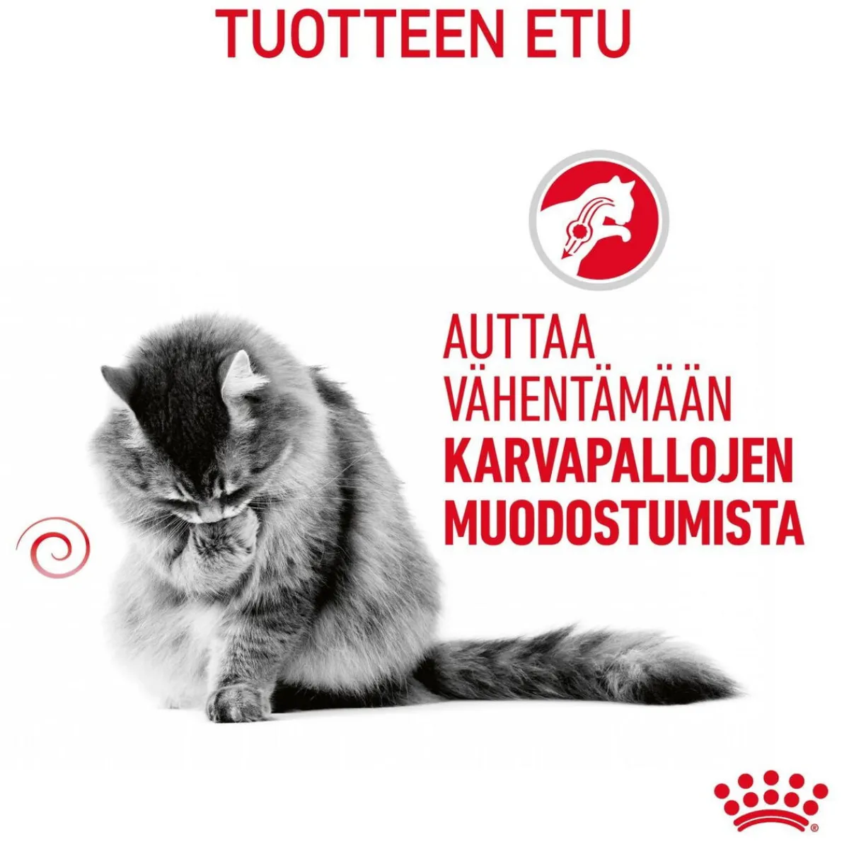 Hairball Care, 12x85g>Royal Canin Clearance