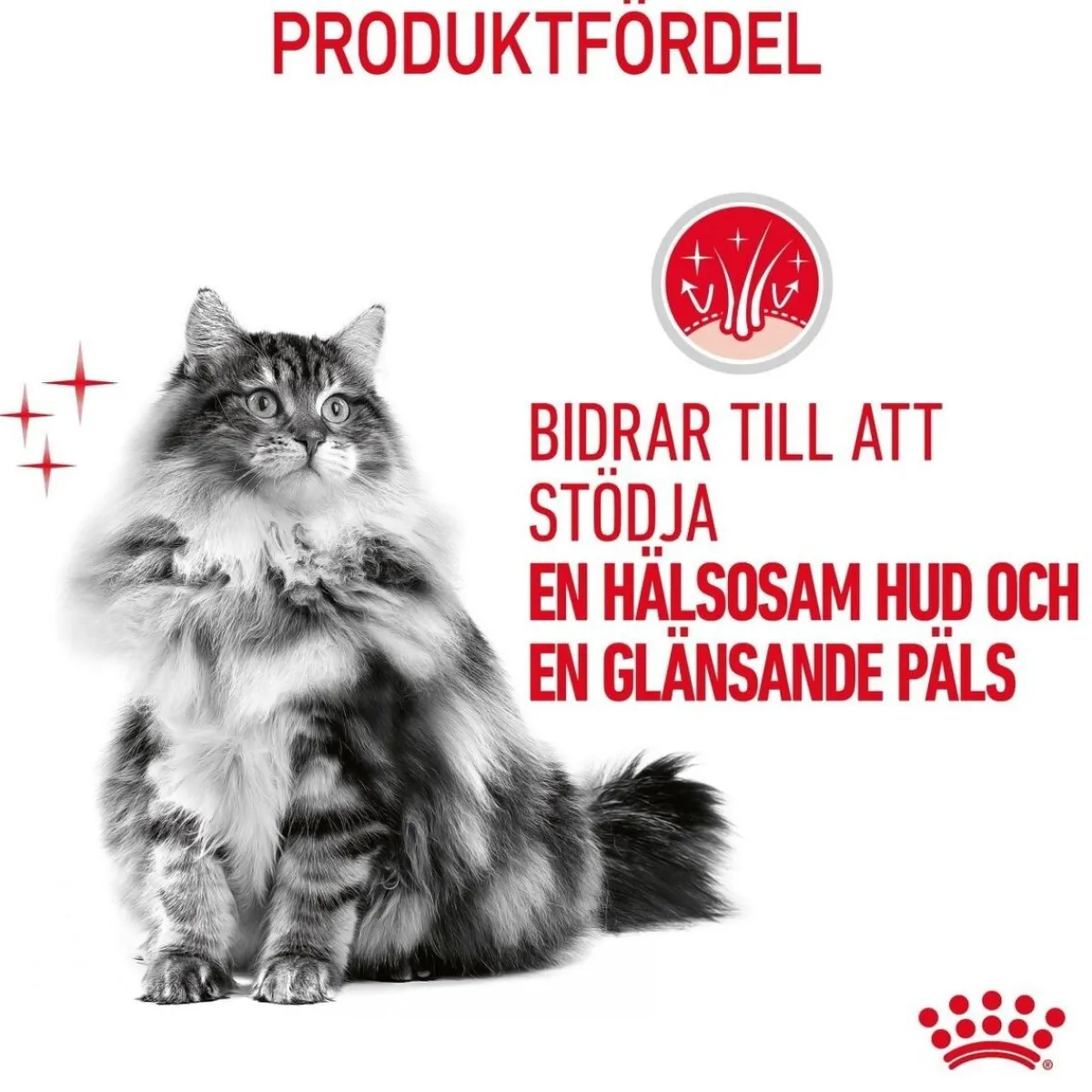 Hair & Skin Care Jelly 85g, 48-pack>Royal Canin Sale