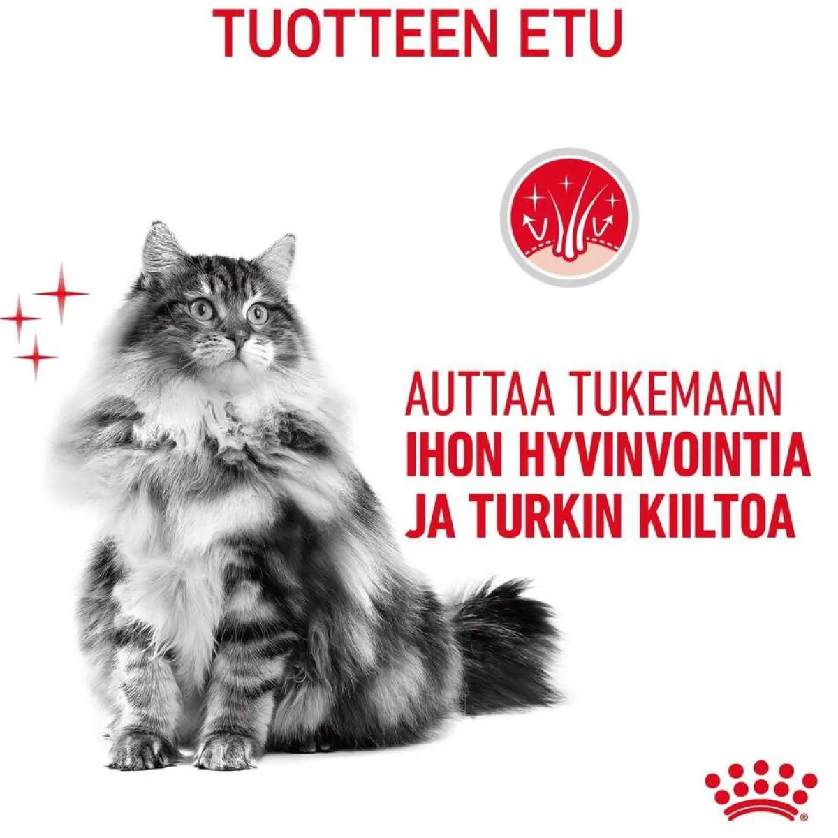 Hair & Skin Care Jelly 85g, 48-pack>Royal Canin Sale