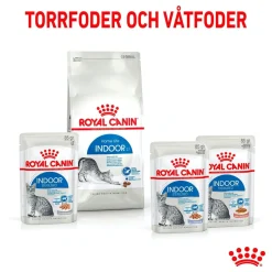 Indoor Jelly 85 g, 48-pack>Royal Canin Clearance