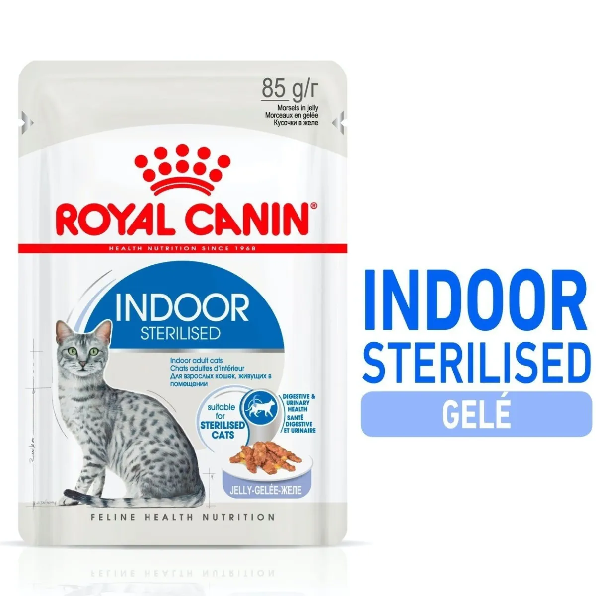 Indoor Jelly 85 g, 48-pack>Royal Canin Clearance