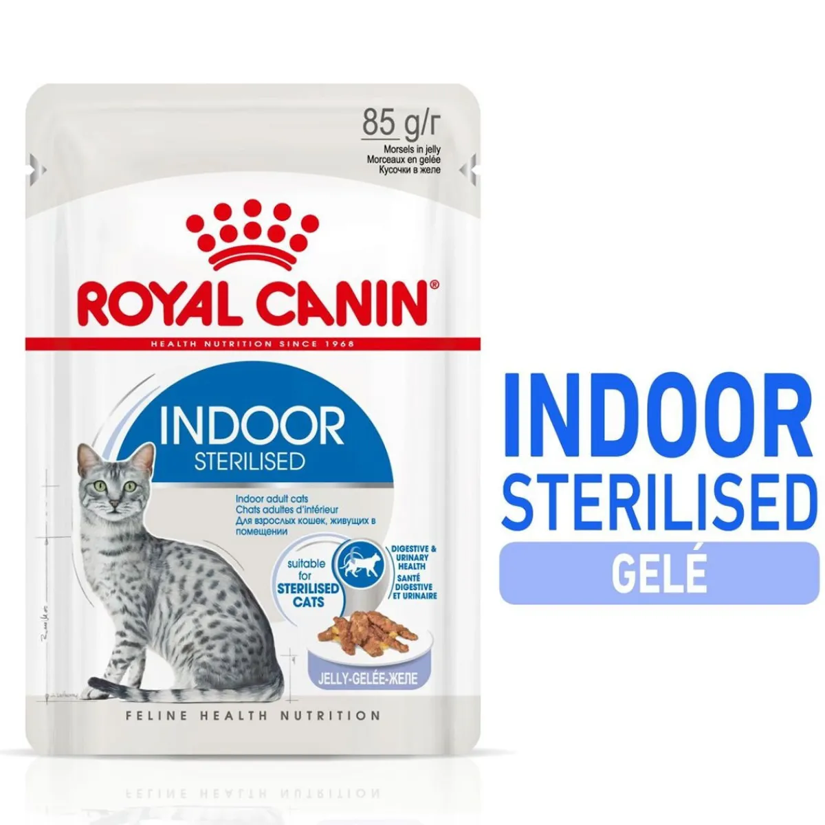 Indoor Jelly 85 g, 48-pack>Royal Canin Clearance
