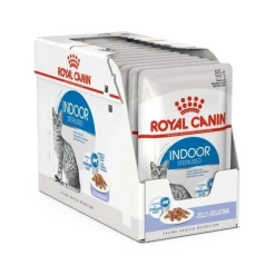 Indoor Jelly 85 g, 48-pack>Royal Canin Clearance