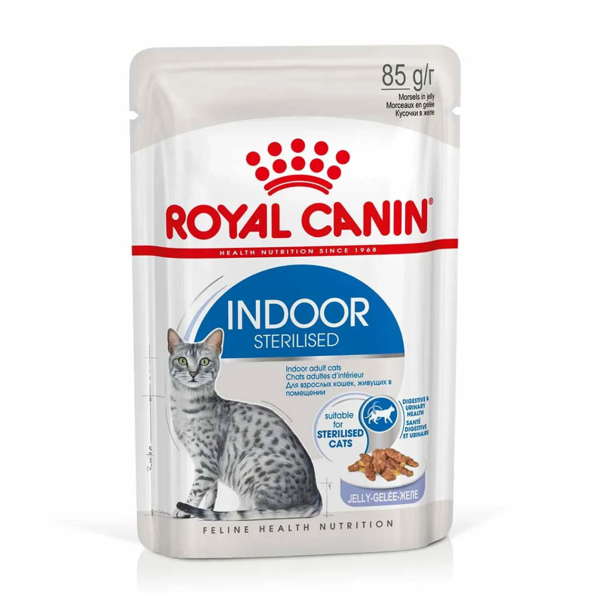 Indoor Jelly 85 g, 48-pack>Royal Canin Clearance