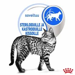 Indoor Jelly 12 x 85 g>Royal Canin Sale