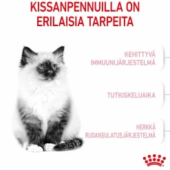Kitten>Royal Canin Outlet