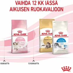 Kitten>Royal Canin Outlet