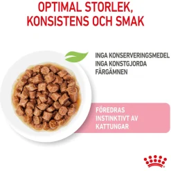 Kitten Gravy 85g, 48-pack>Royal Canin Hot