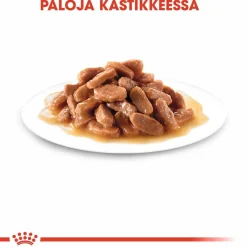 Kitten Gravy 85g, 48-pack>Royal Canin Hot