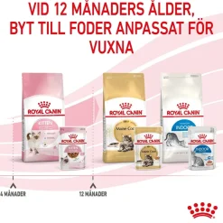 Kitten Gravy 85g, 48-pack>Royal Canin Hot