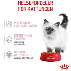 Kitten Gravy 85g, 48-pack>Royal Canin Hot