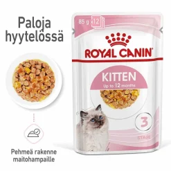 Kitten Jelly, 12x85g>Royal Canin Best